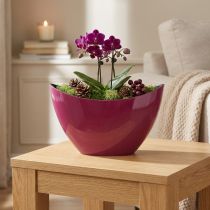 Product Plant boat decorative bowl bowl Berry 20×9cm H12cm
