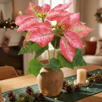 Product Poinsettia Artificial Red Pink L35cm 6pcs 2 bunch