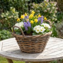 Product Flower decoration, wooden basket with handles, natural planter, white washed H12cm Ø24cm