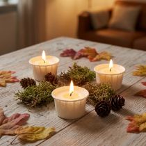 Product Light.one Paper Tealights Natural Plastic-free Vegan 12 pcs