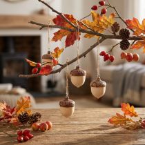 Product Acorn for hanging decoration autumn natural/brown 5.3x3.5cm 12 pieces