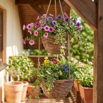 Product Hanging basket flower basket 2 baskets wood natural Ø20cm/26cm