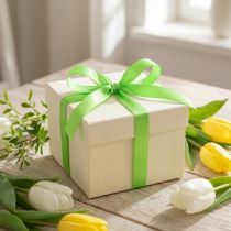 Product Gift ribbon light green 8mm 50m