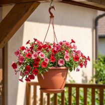 Product Hanging basket Galicia Ø30cm terracotta
