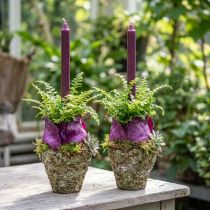 Product Plant pot rustic forest look planter Ø12.5cm H12cm 2pcs