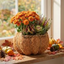 Product Pumpkin Plant Basket with Liner Orange Ø18cm H15cm