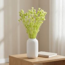 Product Dried Nigella flowers, charming natural room decoration for the home, 70cm, 50g