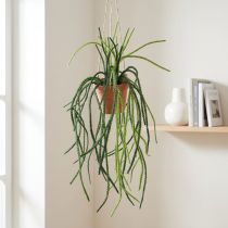 Product Rhipsalis artificial coral cactus hanging basket H87cm