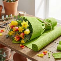 Product Florist crepe paper grass green 50x250cm