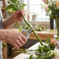 Product Oasis pruning shears 19cm