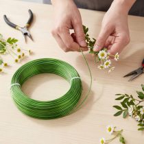 Product Aluminum wire Ø2mm May green 60m 500g Decorative wire Jewelry wire Craft wire