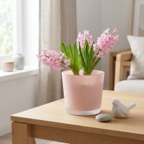 Product Flower pot glass planter pink glass tub Ø11.5cm H11cm