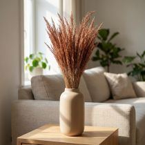 Product Red Bent Grass Agrostis Dry Grass Red Brown 65cm 80g
