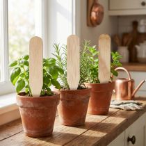 Product Garden stakes wooden bed stakes for herbs & Co 10cm 12pcs
