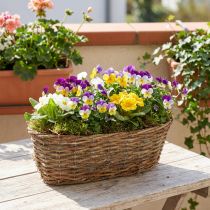 Product Oval Willow Plant Basket with Liner, Natural, 30cm