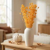 Product Nigella dried flower arrangement for long-term use. Elegant eye-catcher. 70cm 50g