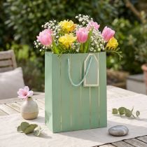Product Gift Bag Light Green Golden Stripes 18×10×23cm 1 pc