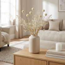 Product Dry grasses artificial pampas grass allium cream, beige H60cm