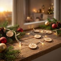 Product LED fairy lights inside Christmas lights wooden discs L120cm