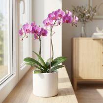 Product Trellis flower stick orchid stick Pink Twister 38cm