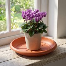 Product "Linda" saucer Ø18cm terracotta