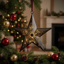 Product Christmas hanger Star Metal Star Black H19cm