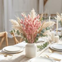 Product Rabbit's Tail Grass (Lagurus) Dried Light Pink 60cm 50g Dried Flower Decoration Artificial Boho Wedding