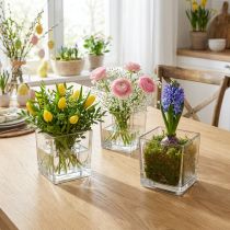 Product Clear Glass Cube Vase 10cm x 10cm x 10cm Set of 6