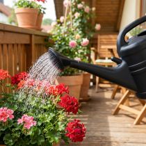 Product Watering can spray black 10l