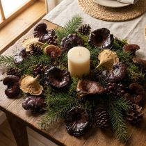 Product Kalix Mushroom Natural Varnished 100 pcs