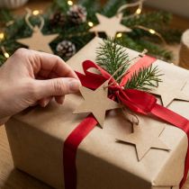 Product Gift tags Christmas brown star paper Ø5.5cm 100p