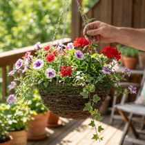 Product Hanging basket brown hanging basket plant basket vines moss Ø31cm