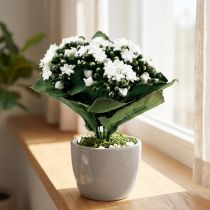 Product Artificial Kalanchoe Flaming Käthchen White 24cm