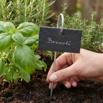 Product Natural slate plugs plant signs black 25cm