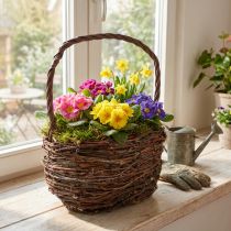 Product Basket with handle birch plant basket with foil H28,5cm