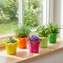 Product Planter for potted plants colorful assorted Ø10.5cm 10 pcs
