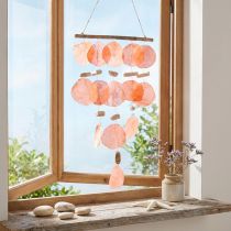 Product Hanging decoration maritime Capiz shells driftwood 28x66cm