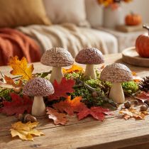 Product Wooden mushrooms decoration mushrooms table decoration autumn brown natural 5×6cm 8 pcs