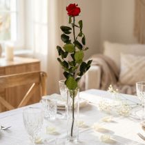 Product Infinity Rose with Leaves Preserved Amorosa Red L54cm