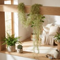 Product Tillandsia decoration hanging Tillandsia artificial green white 180cm