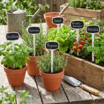 Product Plant Labels 29cm Black slanted 10 pcs