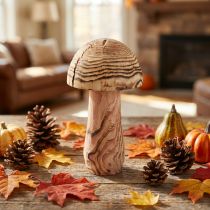 Product Decorative Wooden Mushroom, Paulownia Wood, Ø15 cm, H28 cm
