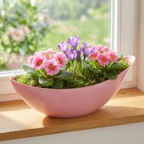 Product Planting Boat Plastic Flower Bowl Pink 28×9×9cm 3pcs