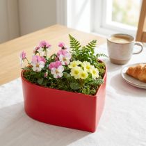 Product Romantic Plant Heart Plant Bowl Heart Red 15×15×7cm 3pcs