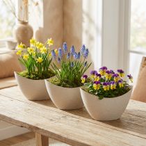Product Plant Boat Decorative Bowl Plastic Beige 20×9cm H12cm 3pcs