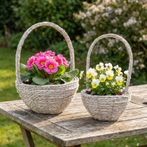Product Set of 2 Plant Baskets with Straw-Lining, Whitewashed, Ø23/28 cm, Shabby Chic