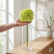 Product Allium green flower artificial ornamental onion Ø18cm 90cm