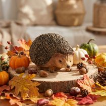 Product Hand-Painted Hedgehog Decor Figurine Autumn Polyresin Brown 14×9.5×9cm