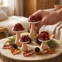 Product Wooden mushrooms, toadstools, decoration, wood, FSC, red-brown, H6.5/7 cm, 4 pieces