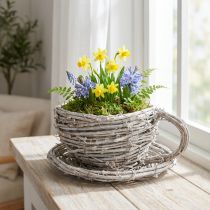 Product Teacup made of natural material with rustic charm for exclusive indoor decoration 13cm